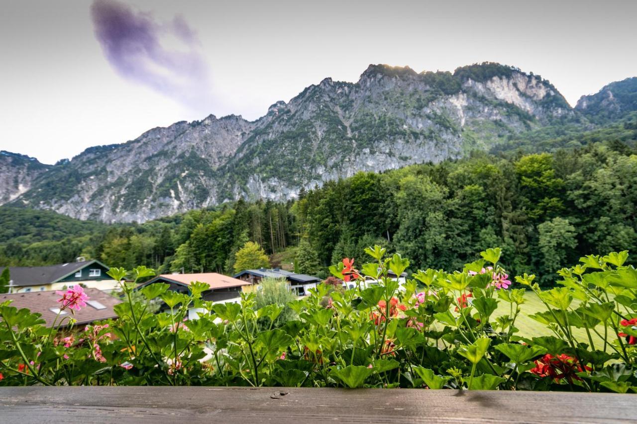 Pension Bergfried กรอดิก ภายนอก รูปภาพ