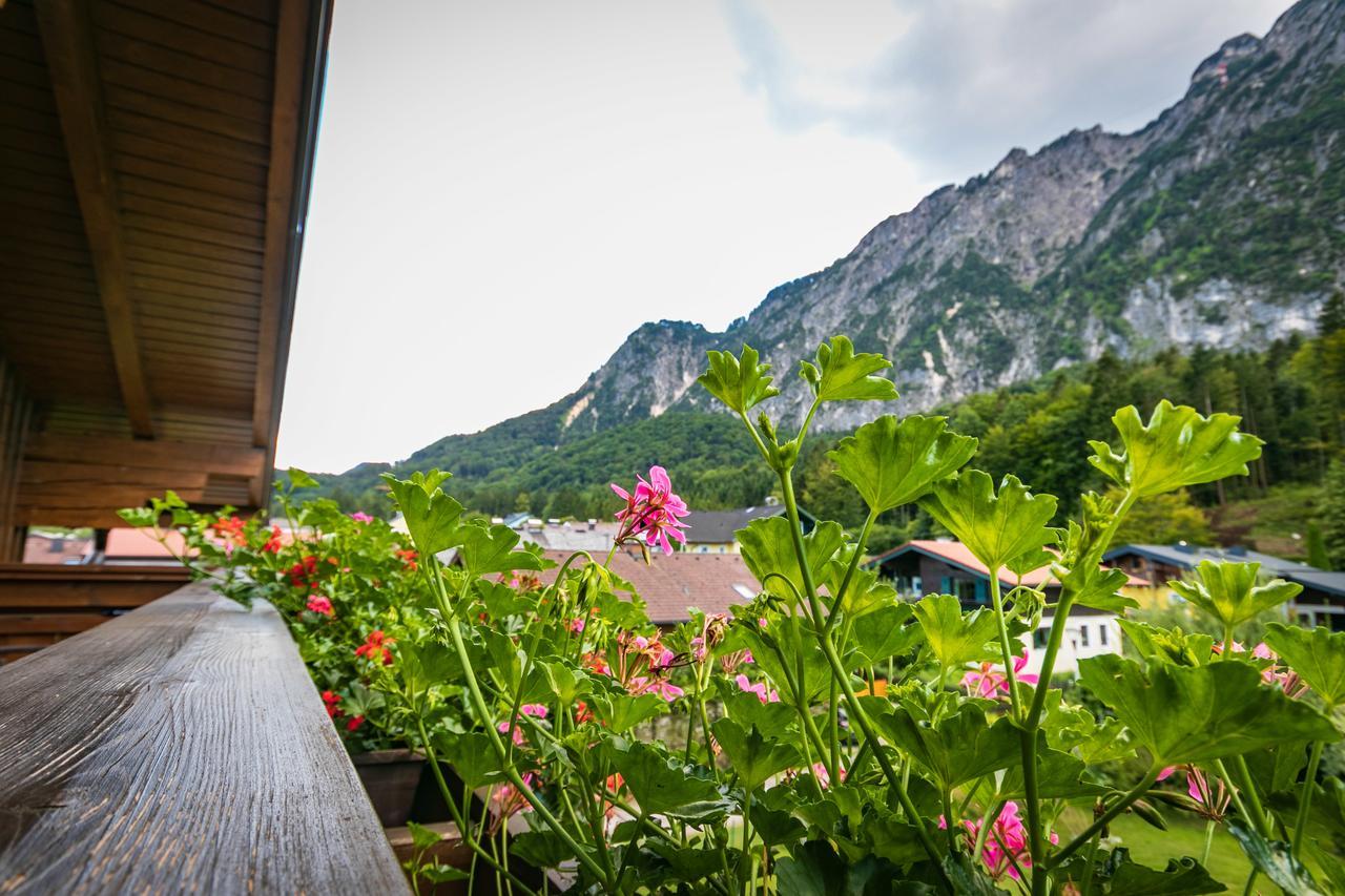 Pension Bergfried กรอดิก ภายนอก รูปภาพ